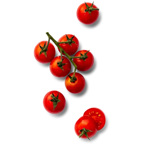 (min-width: 768px)